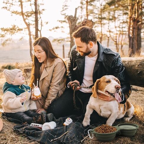 أوعية الكلاب القابلة للطي من SLSON، أوعية مزدوجة مدمجة للكلاب بدون حافة بلاستيكية 2 في 1 قابلة للطي لطعام الحيوانات الأليفة ووعاء الماء وطبق تغذية القطط للمشي والمشي لمسافات طويلة والتخييم، أخضر in Kuwait