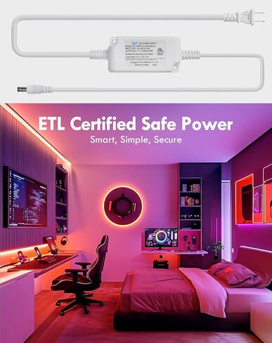 Shine Decor COB RGB+IC LED ضوء حبل نيون، ضوء حبل متغير اللون 24 فولت متوافق مع Alexa، Google Assistant، شريط ضوء نيون مقاوم للماء مع جهاز تحكم عن بعد لحفلة غرفة النوم، 13 × 6 مم، 16.4 قدم in Kuwait
