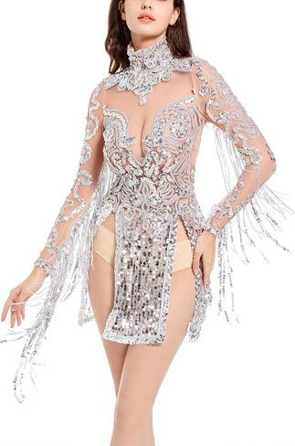 Sparkly Sheer See Thru Silver Fringe Sequined Dress for Women Birthday Evening Celebrate Long Sleeves Dance Bar Singer Drag Queen Outfit Size S M in Saudi Arabia
