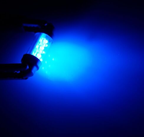 Tuningpros LEDUHL-39M-B9 Under Hood Light LED Light Bulbs Festoon 39mm, 9 LED Blue 2-pc Set in Saudi Arabia
