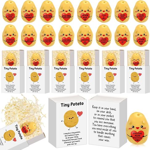 60 مجموعة من هدايا تقدير الموظفين بالجملة لزملاء العمل، صندوق التنفس مع حيوان الراتنج، شكرًا للأخصائيين الاجتماعيين، المعلم، الممرضات، التخرج، هدايا متطوعين لموظفي المكتب (أنماط البطاطس) in Kuwait