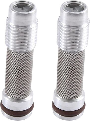 1/2 قطعة 11367541692 صمام فحص رأس اسطوانة السيارة لسيارات BMW X5 328i X3 E36 325i العملي (2 قطعة) in Kuwait