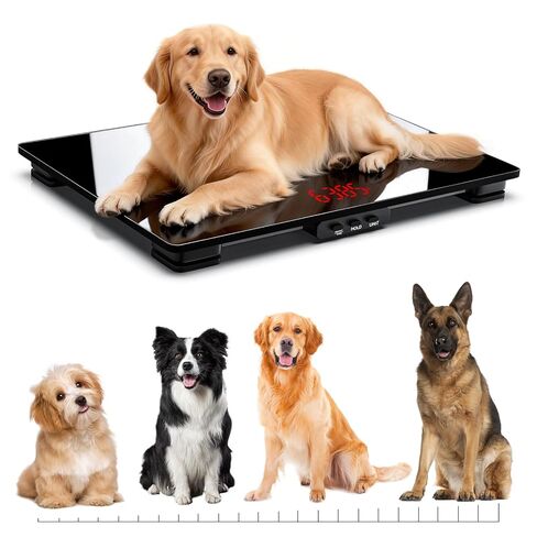 ميزان للكلاب، 220 رطل كحد أقصى / 0.02 رطل دقة للحيوانات الأليفة، 25.6 بوصة × 17.7 بوصة موازين للكلاب ذات منصة واسعة للسلالات الكبيرة، وظيفة ذكية مدمجة ووظيفة الفارغة، 3 بطاريات AAA متضمنة in Kuwait
