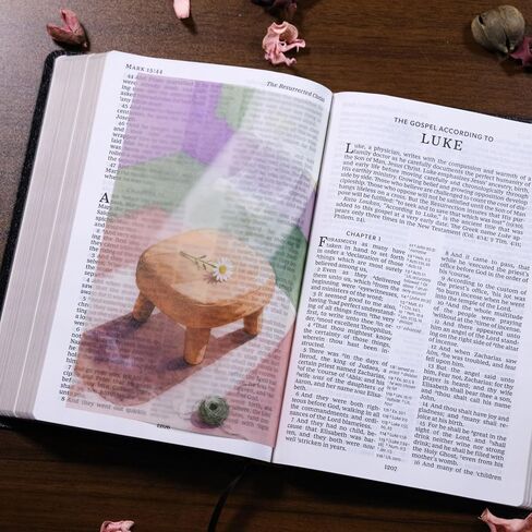 BAMAYSELF 15 جهاز كمبيوتر شخصى تراكبات صفحة الكتاب المقدس للنساء، الخيال المسيحي المرجعية هدية كتاب الملحقات، صفحة الكتاب المقدس إدراج Merch، هدايا الكنيسة المسيحية مضحك لمحبي الكتب Bookish in Kuwait