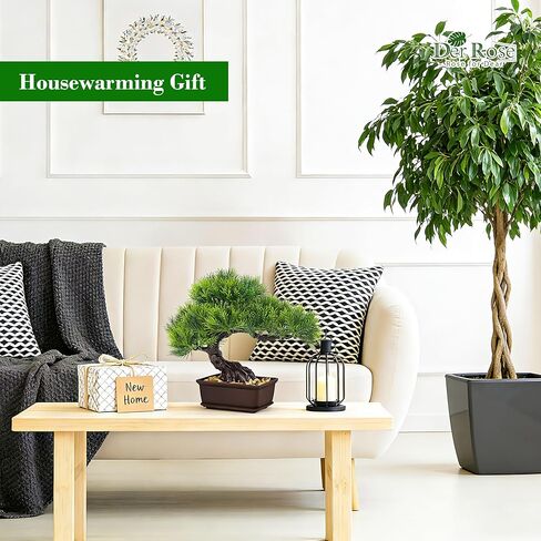 Der Rose 2Pcs Small Fake Plants Artificial Bonsai Tree Set Ficus and Cedar for Office Desk Shelf Room Home Zen Decor Indoor in Kuwait