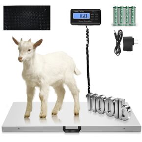 موازين الكلاب الكبيرة للسلالات الكبيرة، مقياس الحيوانات الأليفة 1100 رطل × 0.2 رطل للكلاب الكبيرة، مقياس الماشية، مقياس الحيوانات، منصة من الفولاذ المقاوم للصدأ، مقياس كبير للكلاب الأغنام والماعز والخنزير in Kuwait