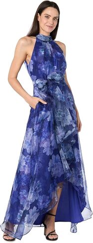 R&M Richards Women's Floral Organza Hi-Lo Dress W/Mock Neck & Waist Self-Tie - Cocktail & Evening Style in Saudi Arabia