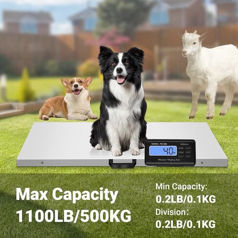 موازين الكلاب الكبيرة للسلالات الكبيرة، مقياس الحيوانات الأليفة 1100 رطل × 0.2 رطل للكلاب الكبيرة، مقياس الماشية، مقياس الحيوانات، منصة من الفولاذ المقاوم للصدأ، مقياس كبير للكلاب الأغنام والماعز والخنزير in Kuwait