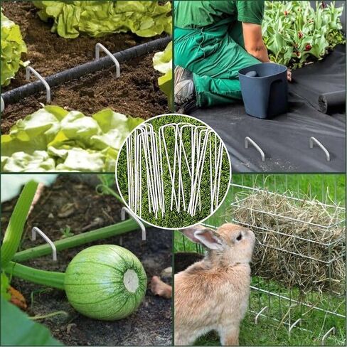 petgrow 6 بوصة حديقة حصص دبابيس المناظر الطبيعية المجلفنة، دبابيس العشب على شكل حرف U للعشب الاصطناعي، دبابيس دبابيس مقاومة للصدأ لتأمين حاجز الأعشاب الأسوار، أسلاك خارجية، أسلاك، خيام، أغطية in Kuwait