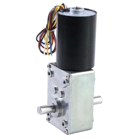 5840-3650 High Torque Brushless Worm Gear Motor, Black, Adjusted Speed Control with Mounting Bracket, Model 5840-3650 (24v 260rpm 9.5kg.cm Package2) in Saudi Arabia