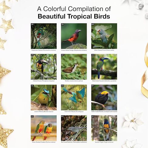 RED EMBER Tropical Birds 2026 Wall Calendar 12 Month | 12" x 24" Open | Thick & Sturdy Paper | Holiday Gift | Bird Calendar 2026 in Saudi Arabia