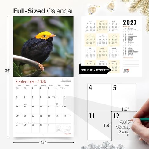 RED EMBER Tropical Birds 2026 Wall Calendar 12 Month | 12" x 24" Open | Thick & Sturdy Paper | Holiday Gift | Bird Calendar 2026 in Saudi Arabia