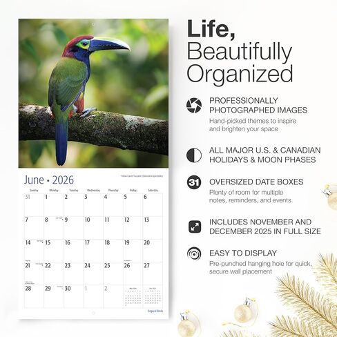 RED EMBER Tropical Birds 2026 Wall Calendar 12 Month | 12" x 24" Open | Thick & Sturdy Paper | Holiday Gift | Bird Calendar 2026 in Saudi Arabia