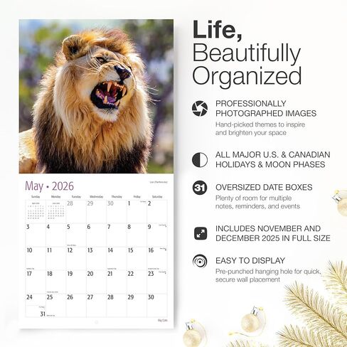 RED EMBER Big Cats 2026 Wall Calendar 12 Month | 12" x 24" Open | Thick & Sturdy Paper | Holiday Gift | Wildlife Animal Calendar 2026 in Saudi Arabia