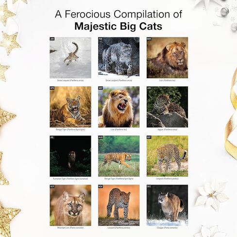 RED EMBER Big Cats 2026 Wall Calendar 12 Month | 12" x 24" Open | Thick & Sturdy Paper | Holiday Gift | Wildlife Animal Calendar 2026 in Saudi Arabia