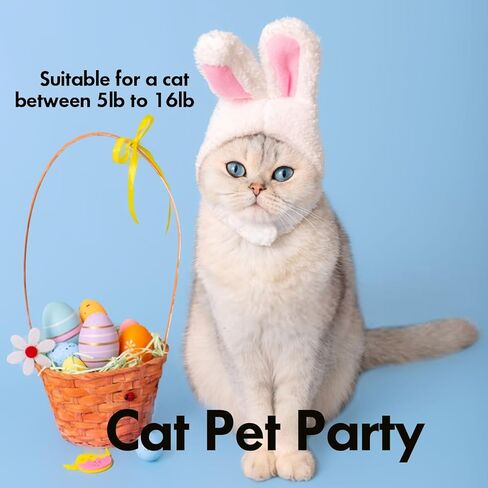 قطعتان من آذان الأرنب للقطط، قبعة أرنب قطيفة مع آذان للقطط والكلاب الصغيرة، زي حفلات عيد الفصح اللطيف، إكسسوارات أغطية الرأس للحيوانات الأليفة in Kuwait