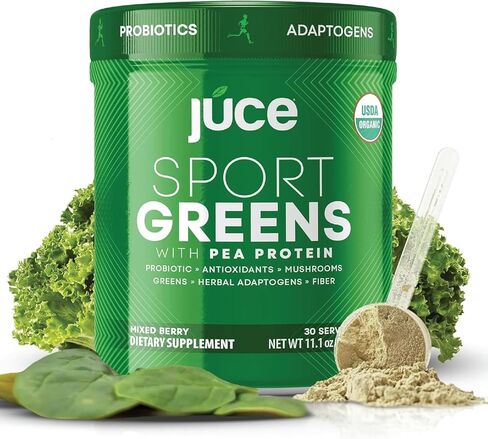 TERRA KAI ORGANICS SG7 Sports Greens Organic Green Juice Powder | Powdered Superfood Protein | Antioxidants & Mushrooms | Probiotics for Gut Health | Mixed Berry Flavor | 30 Servings in Saudi Arabia