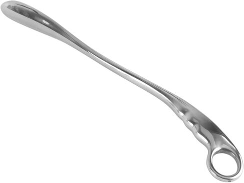 Stainless Steel Shoehorn Long Handle Shoelift for Pregnant Women Old Man Accessory in Saudi Arabia