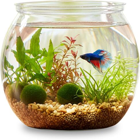 Mini Plastic Fish Bowl 30 oz Decorative Small Fish Tank Unbreakable Aquarium Starter Kit for Centerpiece Vases Party Decorations in Saudi Arabia