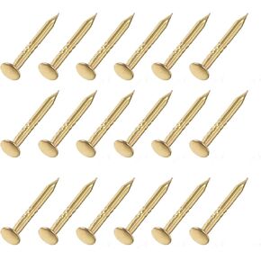 METALLIXITY Small Nails (1x10mm) 700pcs, Carbon Steel Tiny Hardware Nails - for Household Woodworking, Gold Tone