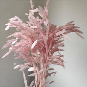 Dried Grass Bundle, 20 Stems 15-17 Inch Natural Chasmanthium Flower Bouquet for Vase, DIY Floral Arrangements, Weddings Party Home Baby Shower Elegant Decor (Pink)