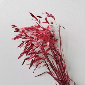 Dried Grass Bundle, 20 Stems 15-17 Inch Natural Chasmanthium Flower Bouquet for Vase, DIY Floral Arrangements, Weddings Party Home Baby Shower Elegant Decor (Pink)