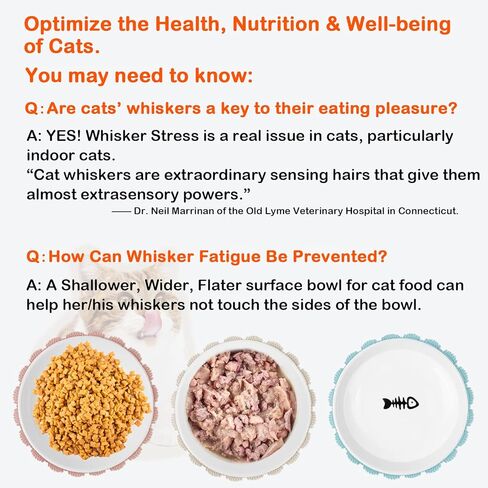 أوعية القطط المرتفعة المضادة للقيء، أوعية طعام القطط الخزفية المرتفعة للقطط الداخلية، وعاء واسع ضحل للقطط مرتفع، أطباق مسطحة لطيفة لتغذية القطط الأليفة، طبق طعام رطب صديق للقطط in Kuwait