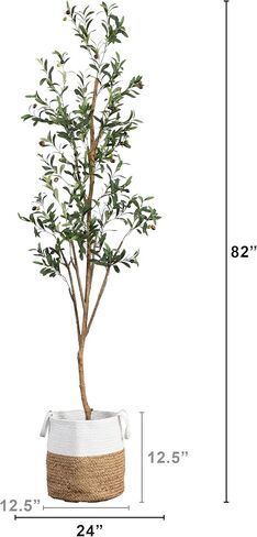 Nearly Natural Olive Tree Artificial Indoor 7FT Tall with Jute Basket Planter Fake Olive Tree for Home & Office Decor, Faux Olive Tree with Natural Wood Trunk, Realistic Olive Tree Branches and Fruit in Saudi Arabia