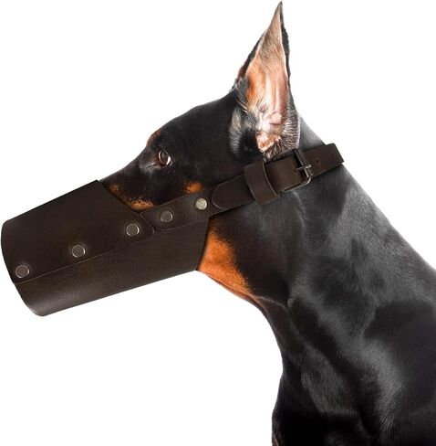Hide & Drink, Leather Dog Muzzle Guard, Secure, Prevents Biting Chewing, Pitbull German Shephard & Any Breeds, Small Medium Large, Handmade (Small) in Saudi Arabia