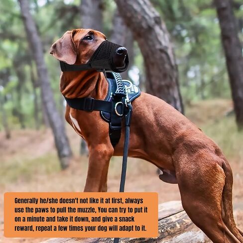 Lxnoap Black Quick Muzzle for Small Dogs Mouth Cover Adjustable Drinkable Comfortable Breathable for Biting Barking Chewing Size S in Saudi Arabia