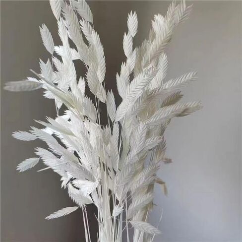 Dried Grass Bundle, 20 Stems 15-17 Inch Natural Chasmanthium Flower Bouquet for Vase, DIY Floral Arrangements, Weddings Party Home Baby Shower Elegant Decor (Pink) in Saudi Arabia