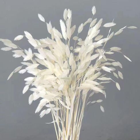 Dried Grass Bundle, 20 Stems 15-17 Inch Natural Chasmanthium Flower Bouquet for Vase, DIY Floral Arrangements, Weddings Party Home Baby Shower Elegant Decor (Pink) in Saudi Arabia