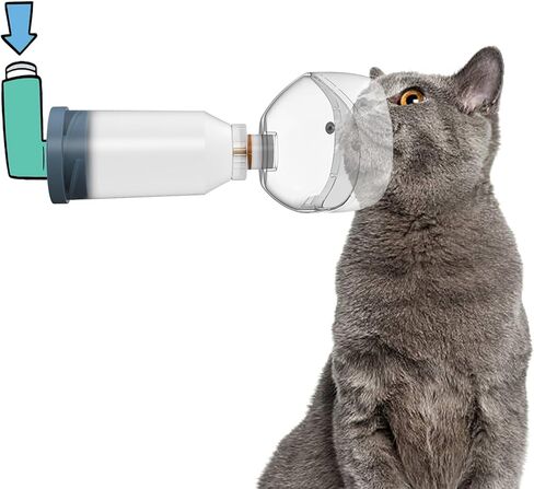 فاصل استنشاق غرفة الهباء الجوي القطط من نوميوب للقطط والقطط مع قناع حصري للحيوانات الأليفة للكلاب الصغيرة وجميع القطط in Kuwait