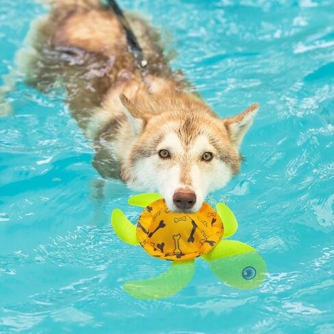 ألعاب عائمة لحوض سباحة الكلاب من PUPTECK - عبوتان من ألعاب المياه التي تصدر صوت صرير للألعاب التفاعلية الصيفية، لعبة جلب الشاطئ السلحفاة وجراد البحر in Kuwait