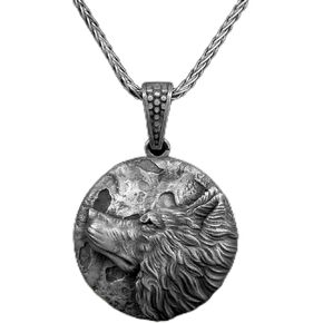 قلادة الذئب السلتي، قلادة فضية ساحرة للرجال من الذئب مع إغاثة القمر، مجوهرات سلتيك، الأساطير الإسكندنافية، قلادة هدية ذئب الفايكنج in Kuwait