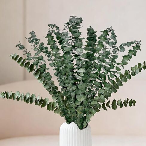 18 Pcs Real Dried Eucalyptus Stems,17" Natural Eucalyptus Branches for Shower to Release Fragrance, Vase Filler, Bathroom Decor, Dried Flower Arrangement in Kuwait