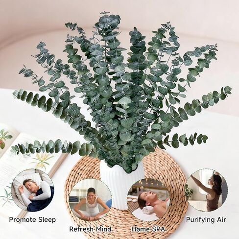 18 Pcs Real Dried Eucalyptus Stems,17" Natural Eucalyptus Branches for Shower to Release Fragrance, Vase Filler, Bathroom Decor, Dried Flower Arrangement in Kuwait