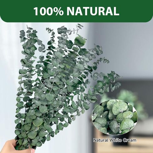 18 Pcs Real Dried Eucalyptus Stems,17" Natural Eucalyptus Branches for Shower to Release Fragrance, Vase Filler, Bathroom Decor, Dried Flower Arrangement in Kuwait
