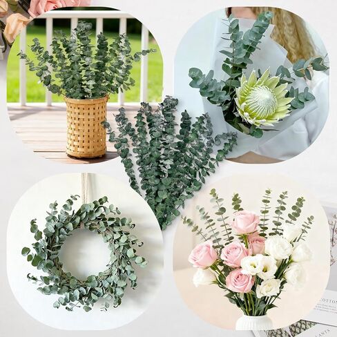 18 Pcs Real Dried Eucalyptus Stems,17" Natural Eucalyptus Branches for Shower to Release Fragrance, Vase Filler, Bathroom Decor, Dried Flower Arrangement in Kuwait