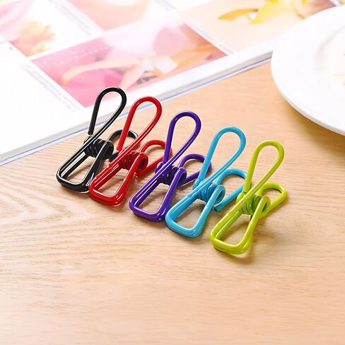 10 Pack, Colorful Multi-Purpose Clothes Clip, Fixed Photo Clip for Holding Food Bags, chip Bags, Paper, Photos, Random Color in Saudi Arabia