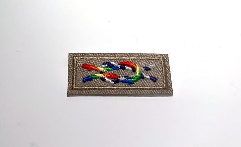 Inclusive Scouting Award - Scouting Patch for LGBTQ Atheist and Ally Scouts - United States Patch (10) in Saudi Arabia