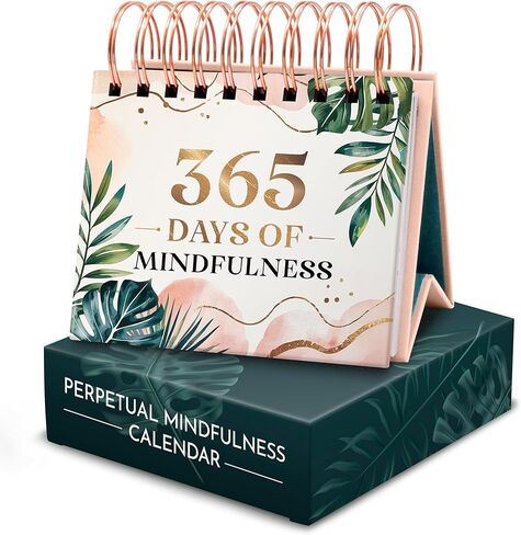 RYVE Daily Affirmation Calendar - Motivational Desk Calendar with Daily Affirmations for Women - Positive Affirmations, Inspirational Gifts for Women, Office Desk Decor for Women, Office Gifts (Red - Motivational) in Saudi Arabia