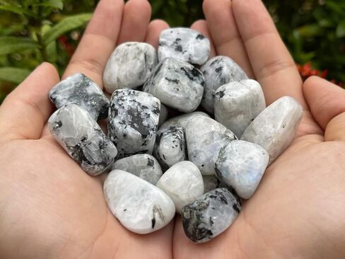 Rainbow Mooonstone Tumbled Stone Crystals Bulk, Polished Stones - Rock Collection - vase Filler tumbles Crystals Healing Reiki - Gemstone Gifts, Good Luck, Fountain tumbles (Moonstone 1LBS) in Saudi Arabia