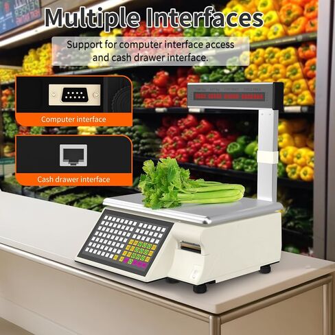 Label Printing Scale 66lb Commercial Heavy Duty with Thermal Barcode Printer & Pole Display, High Precision Electronic Digital Price Computing Scale for Meat Market, Supermarket in Saudi Arabia