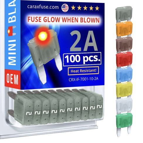 CARAX Glow Fuse - شفرة صغيرة Premium Fuse - مجموعة 30A 100 جهاز كمبيوتر شخصى - يتوهج عند نفخ الصمامات LED للسيارات - صمام التوهج التلقائي الذكي سهل التعرف - 100 جهاز كمبيوتر شخصى in Kuwait