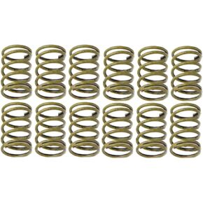 بديل يناسب Raybestos H1150K R-Line Hold Down Spring in Kuwait
