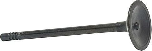 DNJ EV4231 Exhaust Valve for 2015-2017 Ford Mustang 5.0L V8 32V DOHC 4951cc in Kuwait