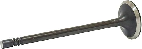 DNJ EV4231 Exhaust Valve for 2015-2017 Ford Mustang 5.0L V8 32V DOHC 4951cc in Kuwait
