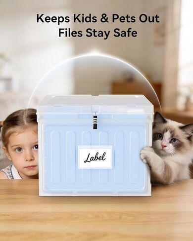 Oterri Plastic File Box with Lid for Letter Size Hanging File Folders, Hanging File Folder Box for Home, Office, School, File Cabinet, Assembly File Organizer, Stackable Storage Bins,Clear in Kuwait