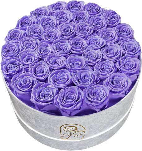 Gifts for Women Preserved Roses Flower Box, Luxury Velvet Box with 20 Roses, Preserved Flowers, Romantic Gift for Her, Wife, Girlfriend, Birthday Anniversary Christmas (Red) in Saudi Arabia